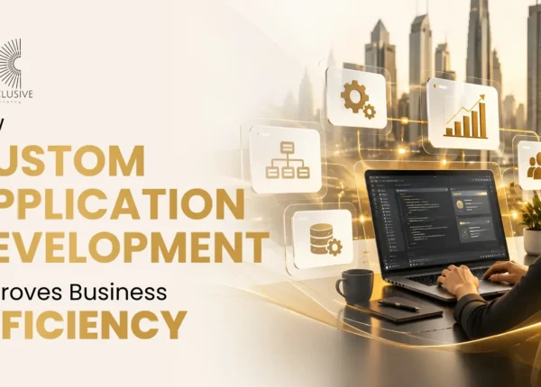 How Custom Application Development Improves Business Efficiency 